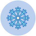 copo de nieve icon