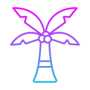 palmera icon