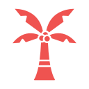 palmera icon