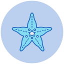 estrella de mar icon