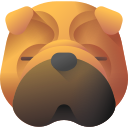 shar pei 