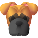 boxer icon