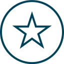 estrella icon