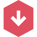 flecha icon