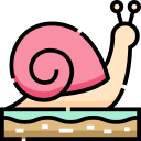 caracol icon