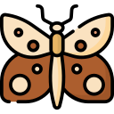 mariposa icon