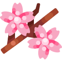 sakura icon