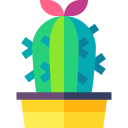 cactus icon