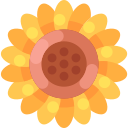 girasol icon