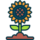 girasol icon