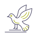 pájaro icon