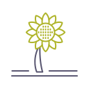 girasol icon