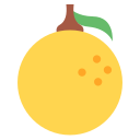 naranja icon