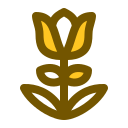 tulipán icon