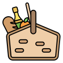 picnic icon