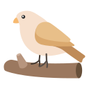 pájaro icon