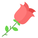 rosa icon