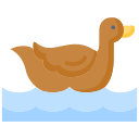 pato icon