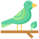 pájaro icon