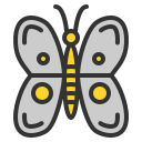 mariposa 