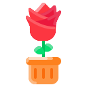 rosa icon