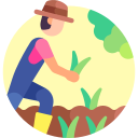 plantación icon