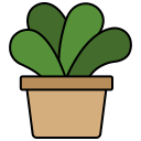 aloe vera icon