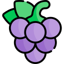 uvas icon