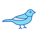 pájaro icon