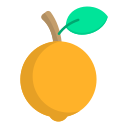 naranja icon