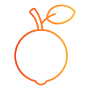 naranja icon