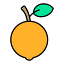 naranja icon