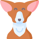 chihuahua icon