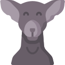 galgo icon