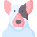 Bull terrier icon