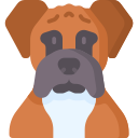 boxer icon