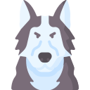 husky siberiano icon