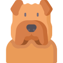 shar pei icon