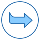 flecha correcta icon