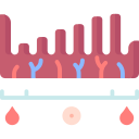 endometrio icon