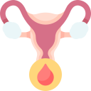 menstruación icon