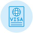 visa icon