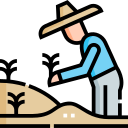 plantación icon