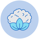 coliflor icon