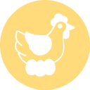 pollo icon