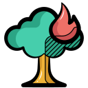 incendio forestal icon