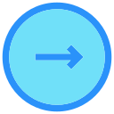 flecha correcta icon