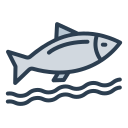 pescado icon