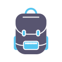 bolso icon