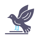 pájaro icon